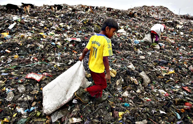 An Indonesian scavenger collects recyclable materials at a dumpsite in Marelan, Medan, North Sumatra Province, Indonesia, 30 November 2015. (Photo by Dedi Sahputra/EPA)