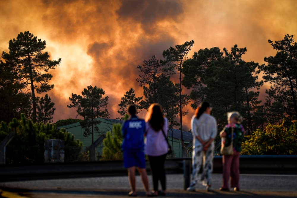 Pictures of the Year 2024, Part 181/240