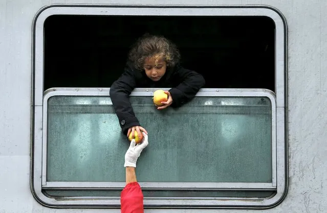 A migrant child leans out of a train window to collect food at the railway station in Tovarnik, Croatia September 29, 2015. (Photo by Antonio Bronic/Reuters)
