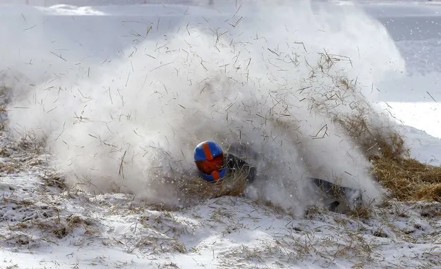 A rider falls into straw on Shuttlcock Corner during the Cresta Run at the private St. Moritz Tobogganing Club (SMTC), February 6, 2015. The SMTC, which was founded in 1887, builds the 3/4 mile (1,212m) ice-run afresh every year. (Photo by Arnd Wiegmann/Reuters)