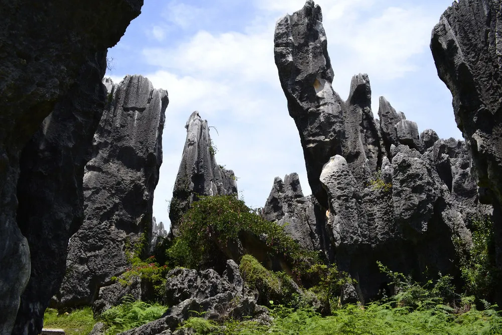 Shilin Stone Forest