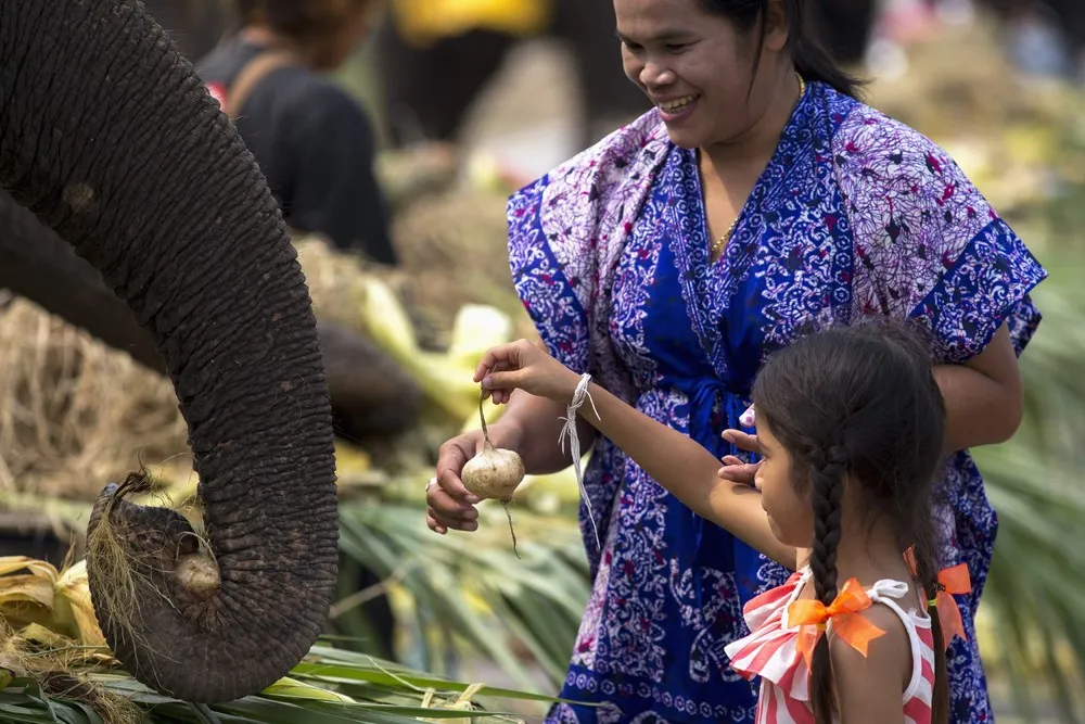 Thailand's National Elephant Day