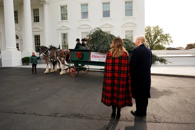 U.S. President Donald Trump and first lady Melania Trump receive the official White House Christmas tree at the North Portico of the White House in Washington, U.S., November 19, 2018. (Photo by Kevin Lamarque/Reuters)