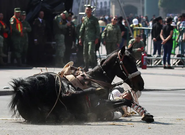 A participant falls with his horse as members of the security forces look on during the parade to mark the 113th anniversary of the Mexican Revolution, at the Zocalo Square in Mexico City, Mexico on November 20, 2023. (Photo by Henry Romero/Reuters)