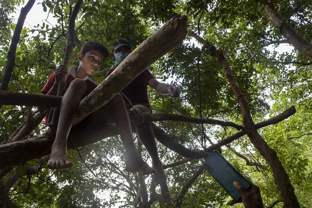 Sri Lankan children sits on tree branches as they access their online lessons from a forest reserve in their village in Bibila, Sri Lanka, July 2, 2021. Climbing rocks and sitting on tree tops is not part of their curriculum but children in villages surrounding the capital city are doing just that to be able to catch mobile signals to access their online classes. The digital divide fueled by uneven internet access and high data cost has forced many students out of the formal education system in Sri Lanka. (Photo by Eranga Jayawardena/AP Photo)