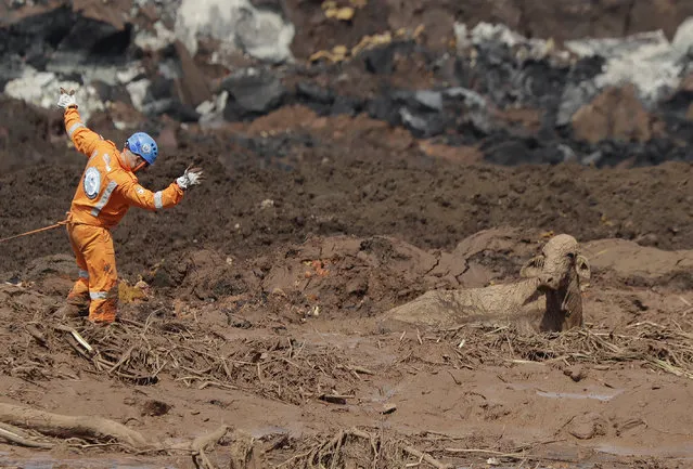 A rescue worker tries to reach a cow that is stuck in a field of mud, two days after a dam collapse in Brumadinho, Brazil, Sunday, January 27, 2019. Brazilian officials on Sunday suspended the search for potential survivors of a dam collapse that has killed at least 40 people amid fears that another nearby dam owned by the same company was also at risk of breaching. (Photo by Andre Penner/AP Photo)