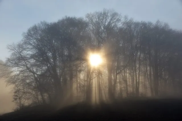 The sun rises behind a forest shrouded in fog near Baunatal, Germany, 08 December 2015. (Photo by Uwe Zucchi/EPA)