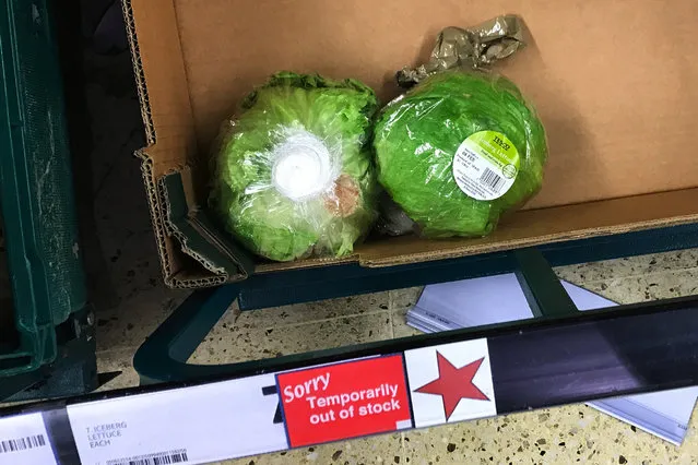 Remaining iceberg lettuces are seen next to a sign reading “Temporarily out of stock” in a supermarket, in London, Britain February 3, 2017. British supermarkets have taken to rationing shoppers to three iceberg lettuces per visit after bad weather hit growing conditions in Spain, leading to a shortage in supplies that is set to continue through to March. (Photo by Dylan Martinez/Reuters)