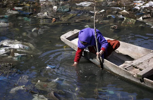 A Kashmiri woman looks for scrap wood in a polluted canal near Srinagar in the Kashmir region of India, March 22, 2016. (Photo by Danish Ismail/Reuters)