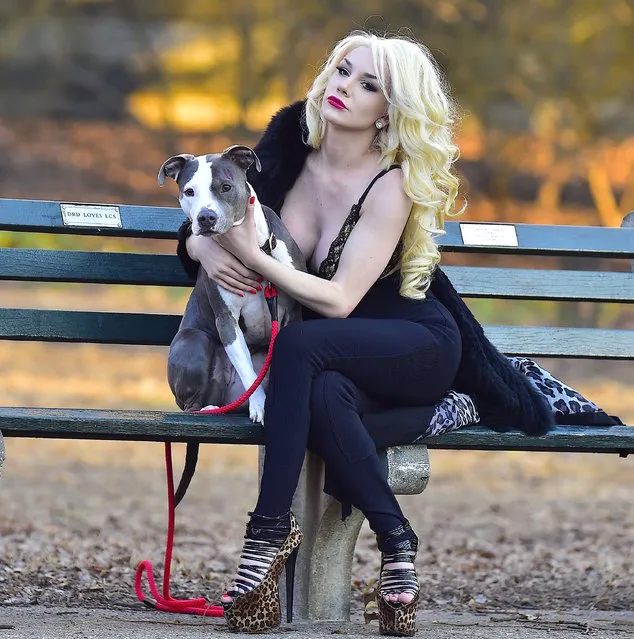 Courtney Stodden is seen in Central Park with a dog on February 20, 2017 in New York City. (Photo by Alo Ceballos/GC Images)