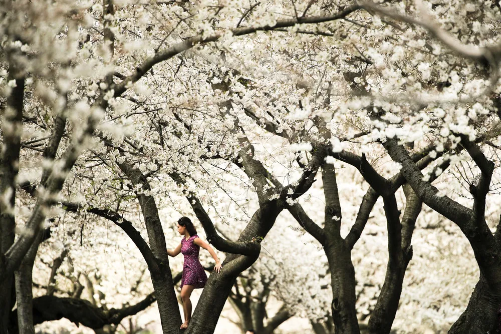 People in the Landscape