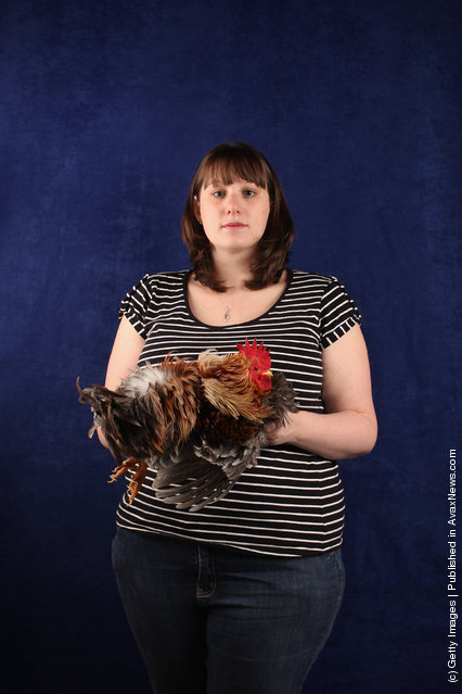 Charlotte Shepherd, from Cumbria, holds her 11 month old Blue Red Frizzle Cockerel
