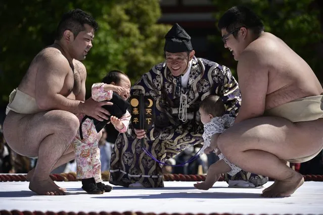 Babies, held by amateur sumo wrestlers, break into tears during the Nakizumo or crying baby contest at Sensoji Temple in Tokyo, Japan, 29 April 2016. The Nakizumo is a traditional event, where babies, accompanied by sumo wrestlers, face each other to determine how loud and long they can cry to celebrate their growth and pray for their good health. Almost 100 babies attended the event this year. (Photo by Franck Robichon/EPA)