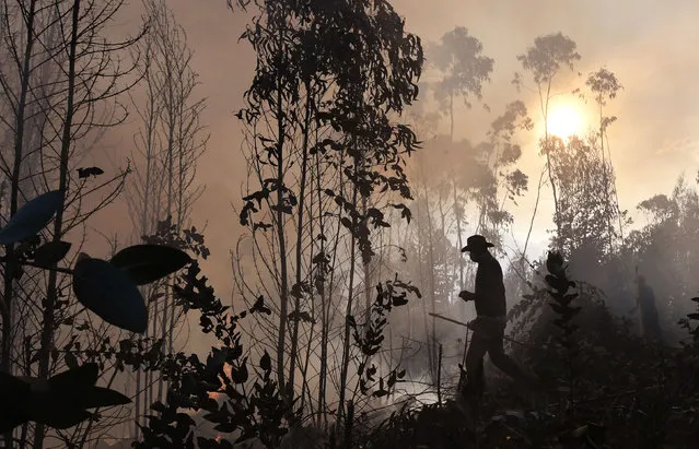 A peasant walks near a bushfire in Guatavita, near Bogota, on January 22 2022. The bushfire has destroyed dozen of hectares of native vegetation and is out of control according to local authorities. (Photo by Daniel Munoz/AFP Photo)