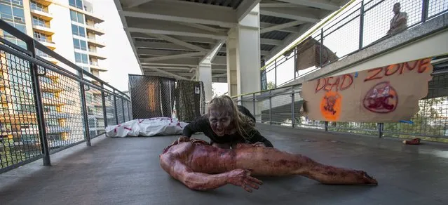 A person dressed like a zombie takes part in The Walking Dead Escape experience at Petco Park during the 2015 Comic-Con International Convention in San Diego, California July 10, 2015. (Photo by Mario Anzuoni/Reuters)