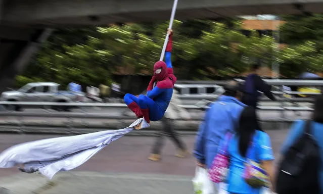 Colombian Jahn Fredy Duque, dressed as superhero “Spiderman”, performs on the streets in Bogota, Colombia on April 24, 2017. (Photo by Raul Arboleda/AFP Photo)