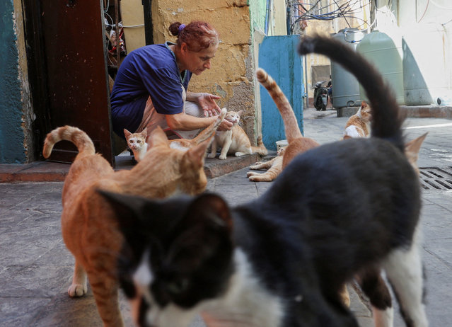 A woman feeds cats at Mar Elias Palestinian refugee camp in Beirut, Lebanon, on August 28, 2024. (Photo by Ahmed Saad/Reuters)