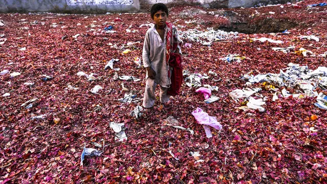 A boy searches for onions between grocery waste at a market in Peshawar, Pakistan, 19 November 2014. (Photo by Bilawal Arbab/EPA)