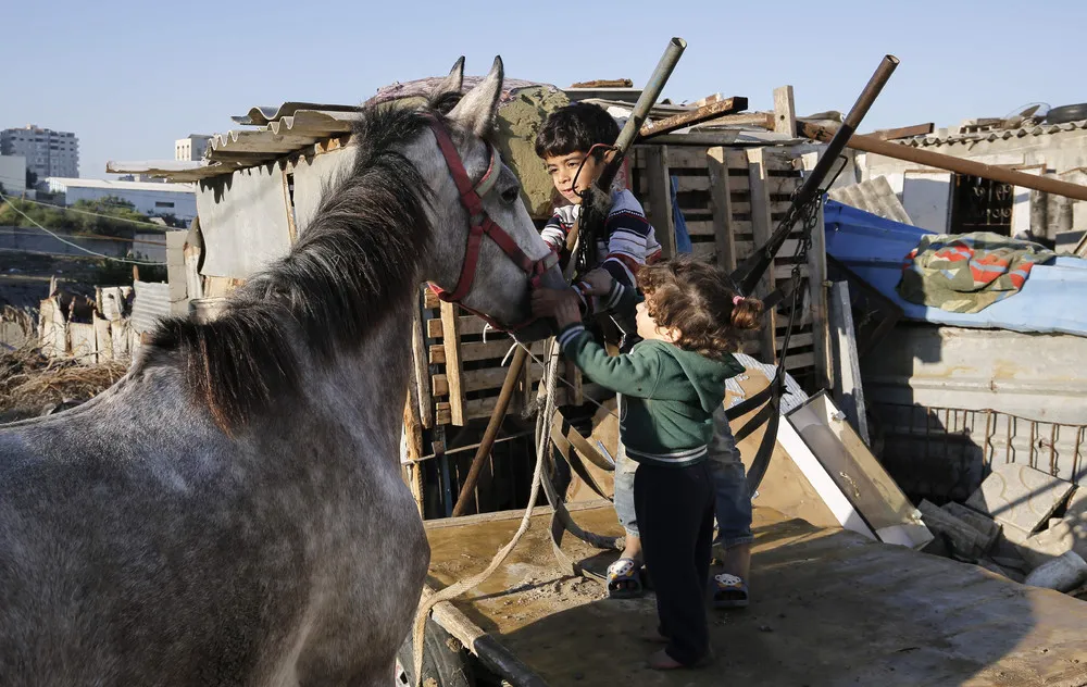 Palestinians Daily Life