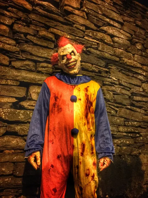 Man in clown costume against wall during Halloween. (Photo by Willi Schubert/Getty Images/EyeEm)