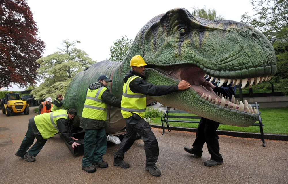 Bristol Zoo Welcome 12 Animatronic Dinosaurs To Their Grounds