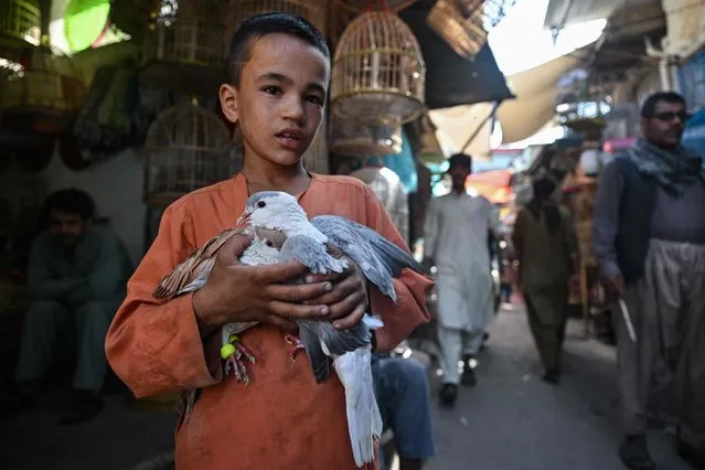 A boy holds two pigeons in the Ka Faroshi bird market in Kabul on July 16, 2022. (Photo by Lillian Suwanrumpha/AFP Photo)