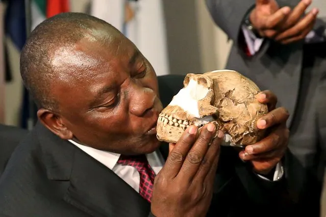 South Africa's Deputy President Cyril Ramaphosa kisses a replica of the skull of a newly discovered ancient species, named “Homo naledi”, during its unveiling outside Johannesburg September 10, 2015. Humanity's claim to uniqueness just suffered another setback: scientists reported on Thursday that the newly discovered ancient species related to humans also appeared to bury its dead. (Photo by Siphiwe Sibeko/Reuters)