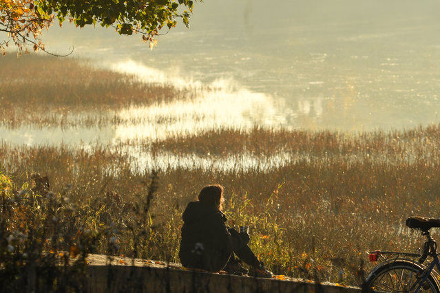 Autumn morning at the Dunavac resort near Novi Sad, Serbia on October 27, 2024. (Photo by Nenad Mihajlovi/Tanjug)