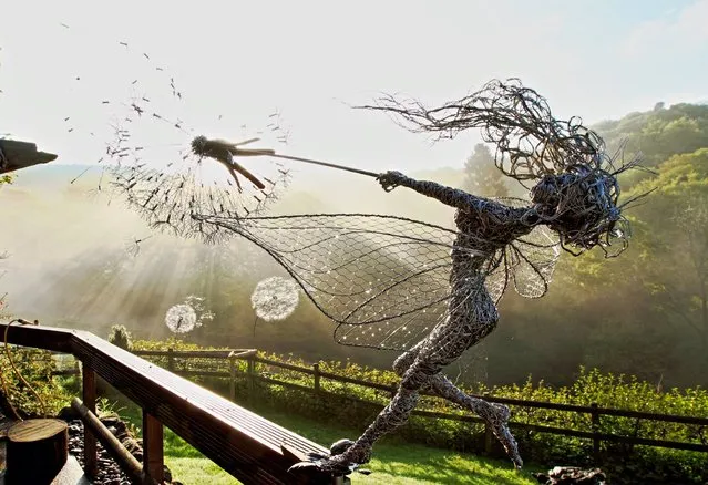 Fantasy Wire Fairies Sculptures By Robin Wight