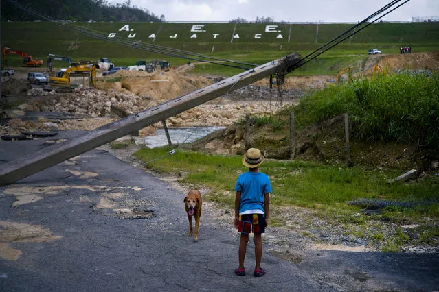 In this October 17, 2017 file photo, a boy accompanied by his dog watches the repairs of Guajataca Dam, which cracked during the passage of Hurricane Maria, in Quebradillas, Puerto Rico. Experts said on Thursday, November 16, 2017, that Puerto Rico could face nearly two decades of further economic stagnation and a steep drop in population as a result of Maria. (Photo by Ramon Espinosa/AP Photo)