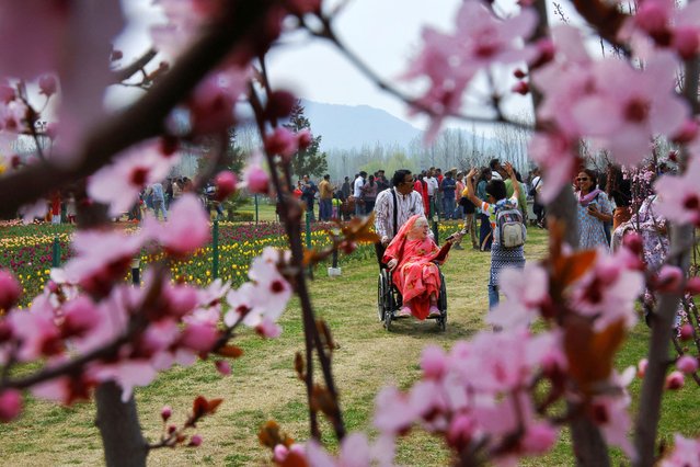 Visitors enjoy inside Kashmir's tulip garden on its opening day at the foothills of the Zabarwan mountain range in Srinagar on March 26, 2025. (Photo by Sharafat Ali/Reuters)