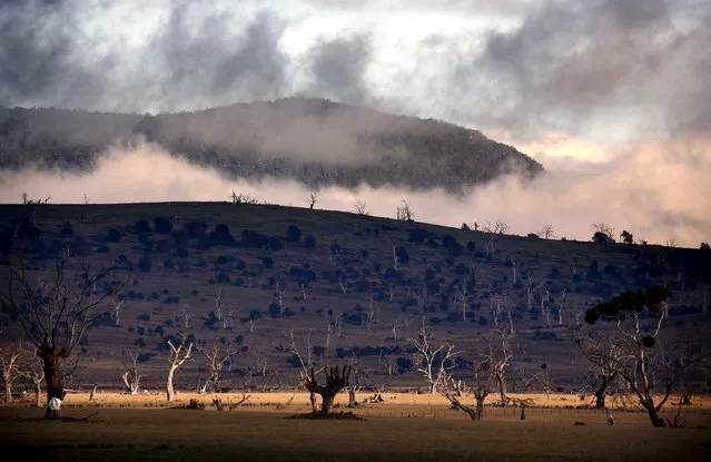 Clouds form above farmland in Tasmania's northwest on the outskirts of Launceston in this file picture taken on June 4, 2014. (Photo by David Gray/Reuters)