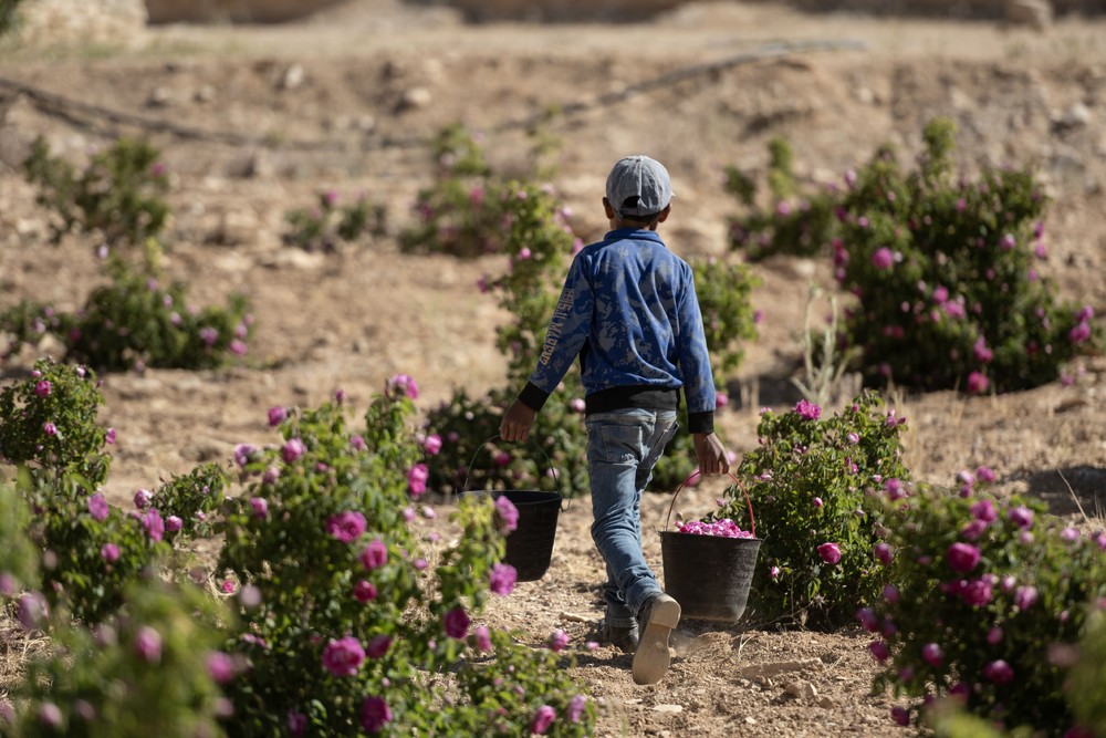 Some Photos: Children