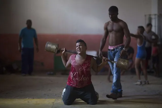 A child lifts weights during a wrestling lesson in downtown Havana, November 13, 2014. (Photo by Alexandre Meneghini/Reuters)