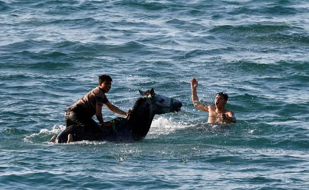 Palestinians wash their horse at the sea in Gaza City on February 24, 2023. (Photo by Mohammed Salem/Reuters)