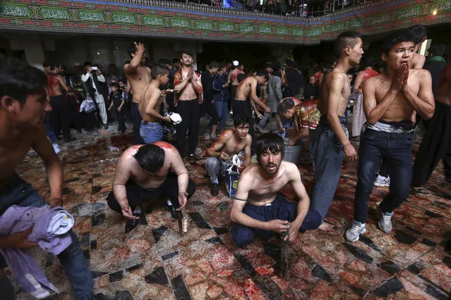 In this Sunday, October 9, 2016 photo, Shiite Muslim men rest after beating themselves with knives attached to chains during a procession to mark Ashoura in Kabul, Afghanistan. (Photo by Rahmat Gul/AP Photo)