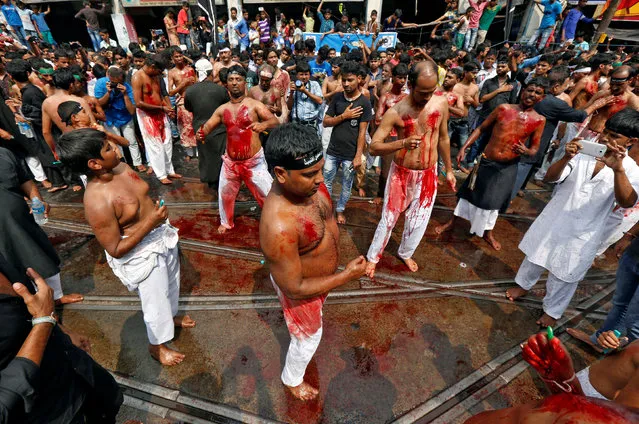 Shi'ite Muslim mourners beat their chests during a Muharram procession to mark Ashura in Kolkata, India October 12, 2016. (Photo by Rupak De Chowdhuri/Reuters)