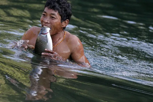 A Naga man carries fish in his teeth after it was stunned by dynamite, which fishermen threw in a creek between Donhe and Lahe township, in the Naga Self-Administered Zone in northwest Myanmar December 27, 2014. (Photo by Soe Zeya Tun/Reuters)