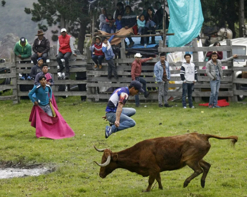 Ecuadorian Bullfighting