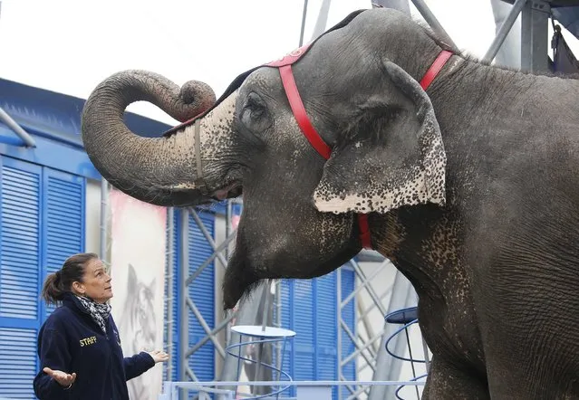 Princess Stephanie of Monaco poses with an elephant during a photocall for the presentation of the 39th International festival circus of Monte Carlo in Monaco January 13, 2015. (Photo by Eric Gaillard/Reuters)