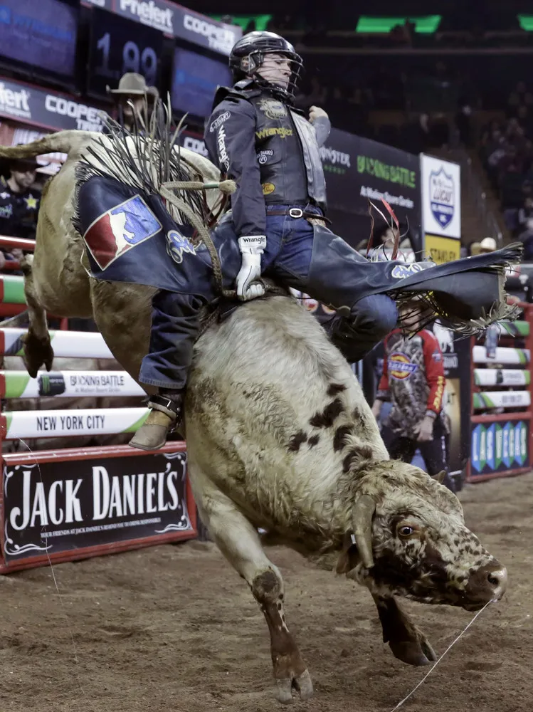 The Professional Bull Riders Buck Off