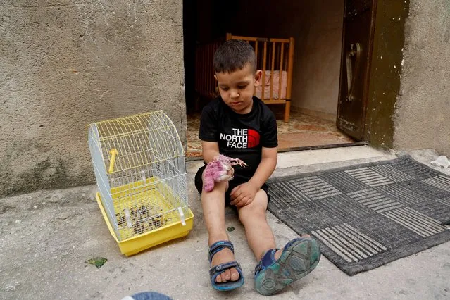 Palestinian child Jihad Marie, 3, holds his dead chick in front of his house, after an Israeli military operation on Jenin camp, in the Israeli-occupied West Bank July 6, 2023. (Photo by Raneen Sawafta/Reuters)
