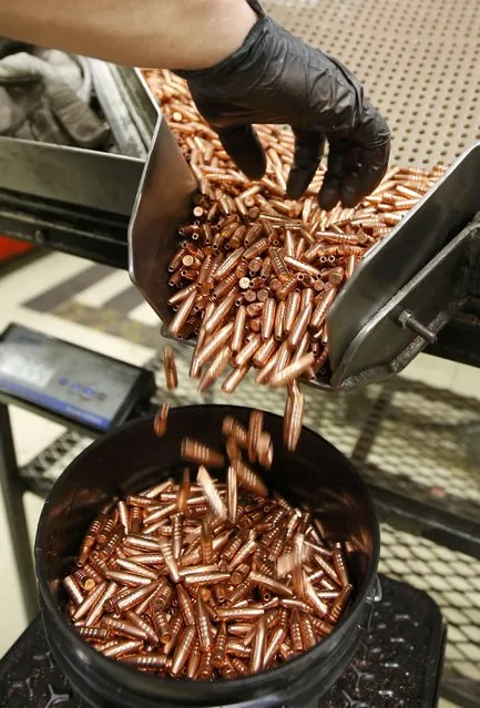 A worker transfers newly washed bullets into a bucket at Barnes Bullets in Mona, Utah, January 6, 2015. (Photo by George Frey/Reuters)