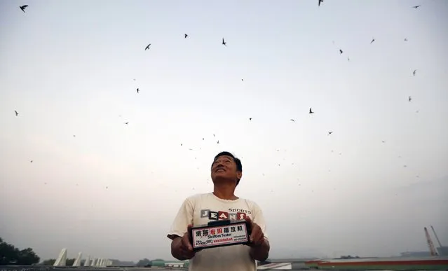 Caretaker Tan Jin Hong looks at swifts attracted by the bird songs played by a machine at the Swiftlet Eco Park in Perak, northern Malaysia, February 15, 2015. (Photo by Olivia Harris/Reuters)