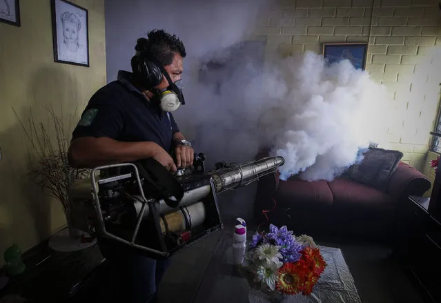 A worker of the Salvadorean Ministry of Health fumigates a house in Soyapango, 6 kilometers from San Salvador, El Salvador, 21 January 2016. Salvadorean authorities have began a three days campaign of fumigation to reduce the presence of the mosquito that transmit the Zika virus. (Photo by Oscar Rivera/EPA)