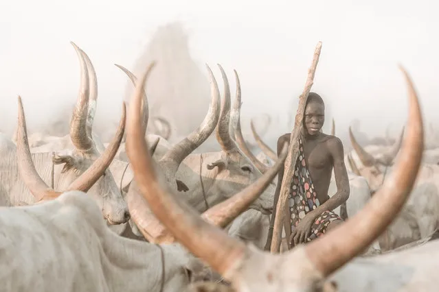 “The Mundari Cattle Herder”. A herder in South Sudan. (Photo by Josef Bürgi/International Portrait Photographer of the Year)