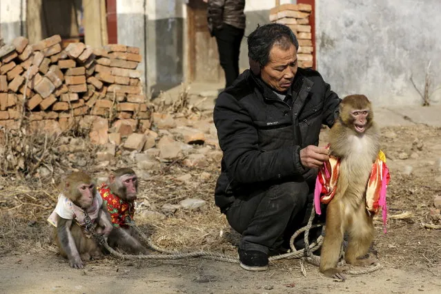 A trainer puts a costume onto one of his monkeys for a traditional performance at Baowan village, in Xinye county of China's central Henan province, February 3, 2016. (Photo by Jason Lee/Reuters)