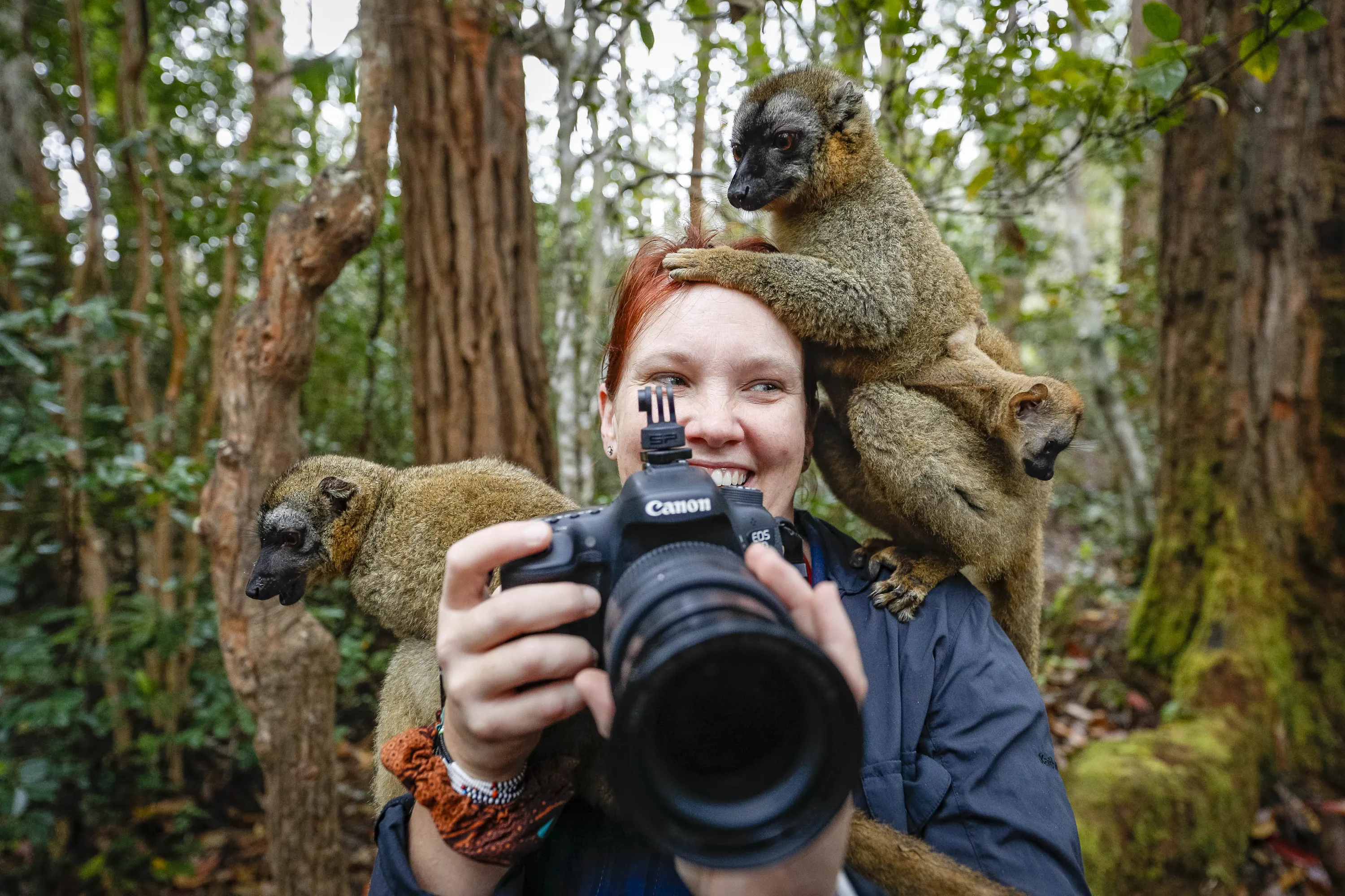 People and wildlife