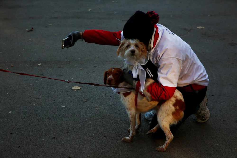 The Day in Photos – December 31, 2016, Part 2/2