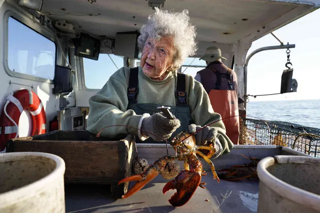 Virginia Oliver, age 101, works as a sternman, measuring and banding lobsters on her son Max Oliver's boat, Tuesday, August 31, 2021, off Rockland, Maine. The state's oldest lobster harvester has been doing it since before the onset of the Great Depression. (Photo by Robert F. Bukaty/AP Photo)